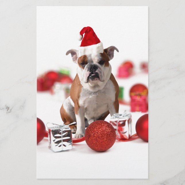 Papelería Navidades de bulldog Caja de regalo Ornamentos Red (Anverso)