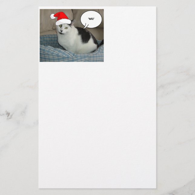 Papelería Navidades Gatito Blanco y Negro (Anverso)