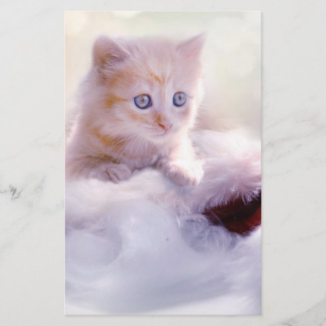 Papelería Navidades Kitten (Anverso)