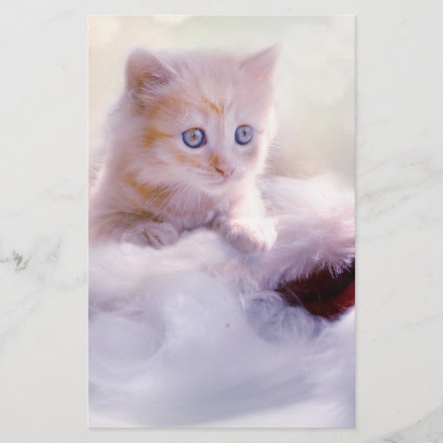 Papelería Navidades Kitten (Anverso)