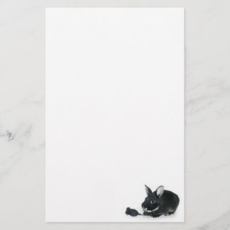 Papelería Negro negro del conejito subió