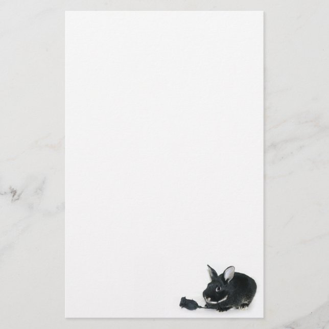 Papelería Negro negro del conejito subió (Anverso)