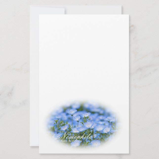 Papelería NEMOPHILA（Baby Blue Eyes） (Anverso)
