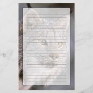 Papelería Norteamérica, EE. UU., Alaska, Haines. Lince (Feli