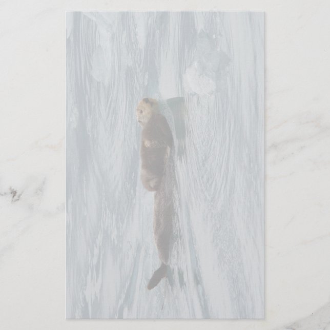 Papelería nutria y perrito de mar (Anverso)