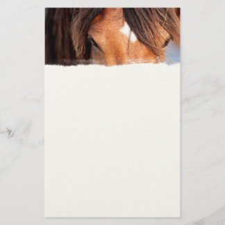 Papelería Ojos de caballo
