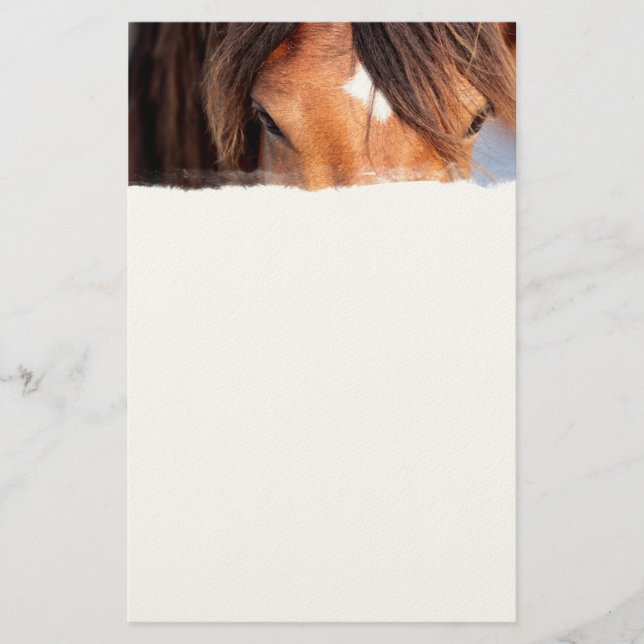 Papelería Ojos de caballo (Anverso)