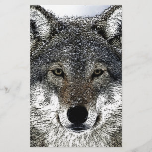 Papelería Ojos de lobo