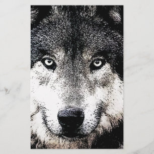 Papelería Ojos de Lobo