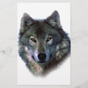 Papelería Ojos de Lobo Gris