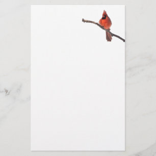 Papelería Ojos silenciosos estacionarios Cardenales