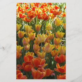 Papelería Orange-&-Yelow-Tulips.jpg