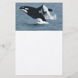 Papelería Orka Whale