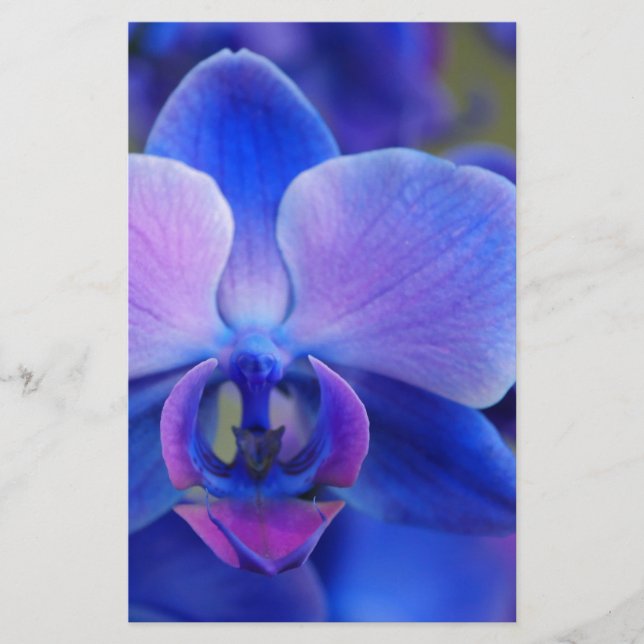 Papelería Orquídea azul y rosa (Anverso)