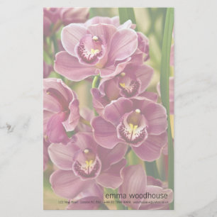 Papelería Orquídea del Cymbidium