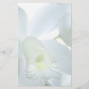 Papelería Orquídea inmóvil