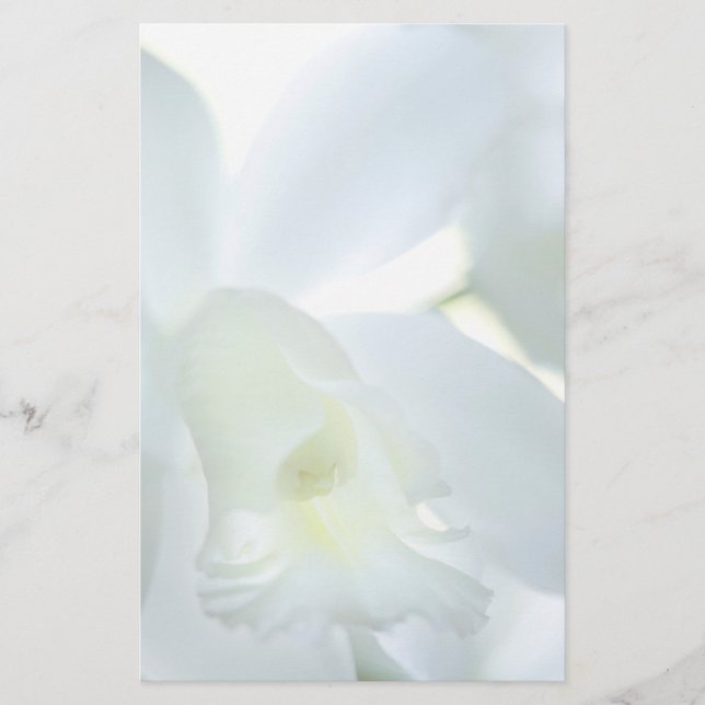 Papelería Orquídea inmóvil (Anverso)