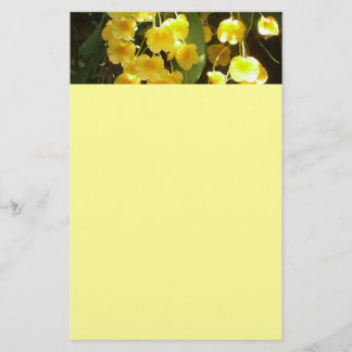 Papelería Orquídeas Amarillas colgando flores tropicales