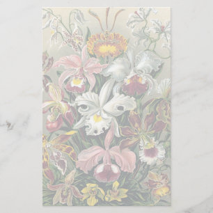 Papelería Orquídeas de Ernst Haeckel