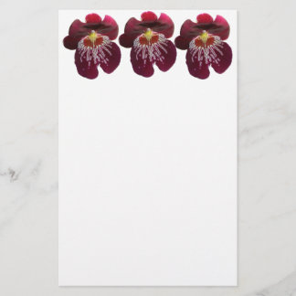Papelería Orquídeas Granates II Floral Elegante