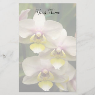 Papelería Orquídeas inmóviles