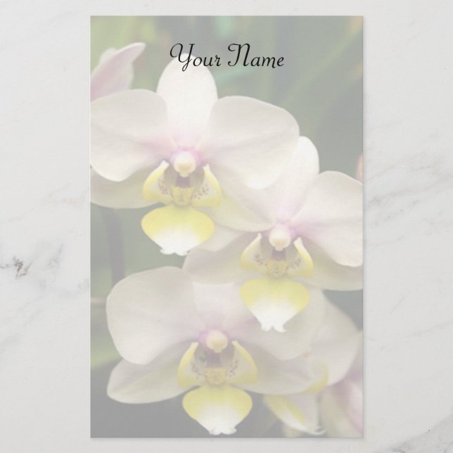 Papelería Orquídeas inmóviles (Anverso)