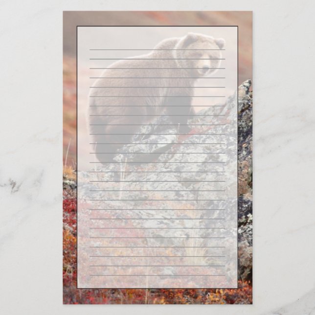 Papelería Oso de Denali Brown (Anverso)