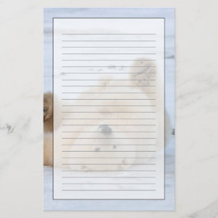 Papelería oso polar, Ursus maritimus, cachorro rodando 3