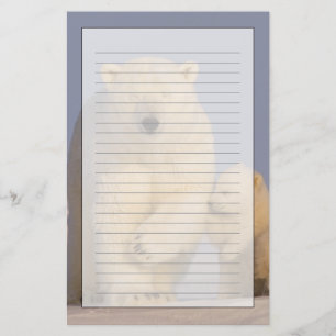 Papelería oso polar, Ursus maritimus, cerda con recién nacid