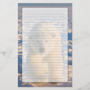 Papelería oso polar, Ursus maritimus, oso polar en hielo