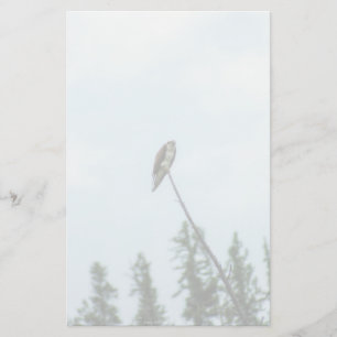 Papelería Osprey 9028