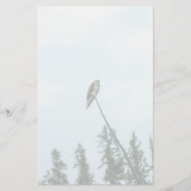 Papelería Osprey 9028 (Anverso)