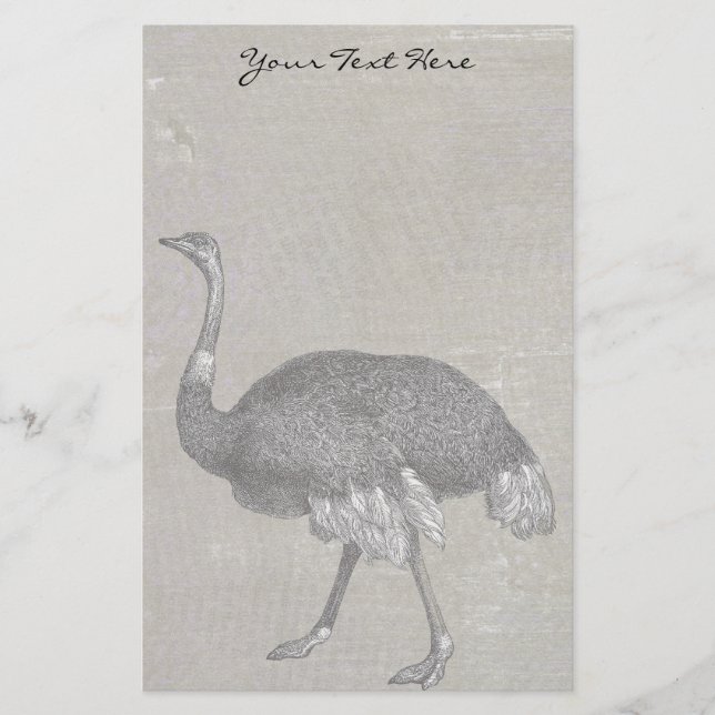 Papelería Ostrich vintage (Anverso)