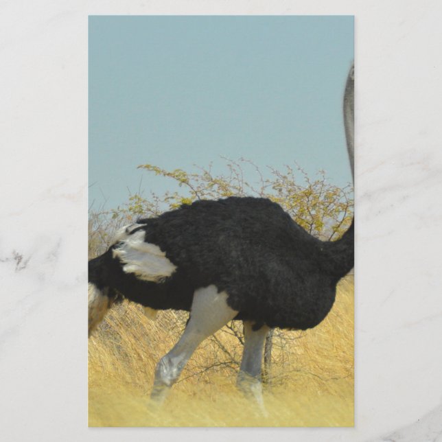 Papelería Ostrige fuera a correr (Anverso)