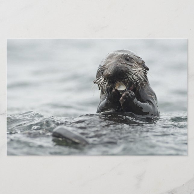 Papelería Otter marino adorable (Anverso)