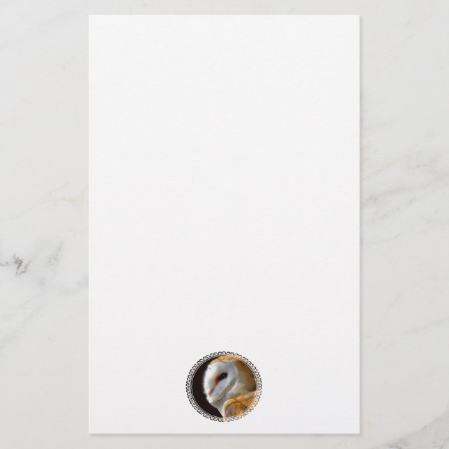 PAPELERÍA OWLS (Anverso)