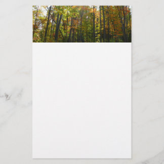 Papelería Paisaje otoñal del bosque de otoño iluminado por e
