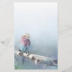 Papelería Pájaro bonito - inmóvil