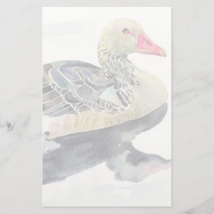 Papelería Pájaro de la acuarela del drenaje de la mano, pat