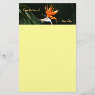 Papelería Pájaro del Naranja del paraíso Flor tropical