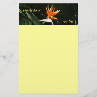 Papelería Pájaro del Naranja del paraíso Flor tropical