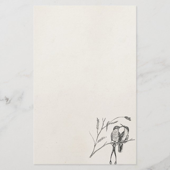 Papelería Pájaro personalizado colibrí de la cola de la (Anverso)