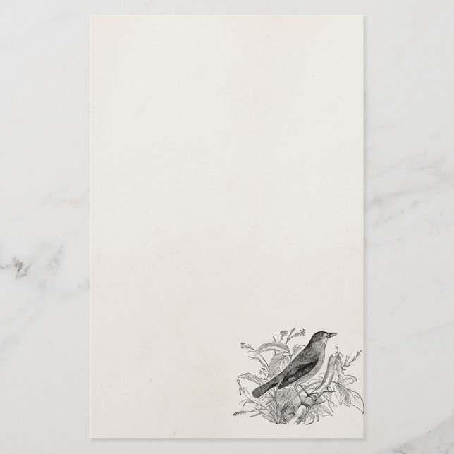 Papelería Pájaros retros personalizados pájaro del usignuolo (Anverso)