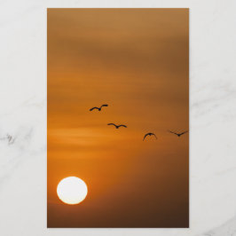 Papelería Pájaros volando en puesta de sol