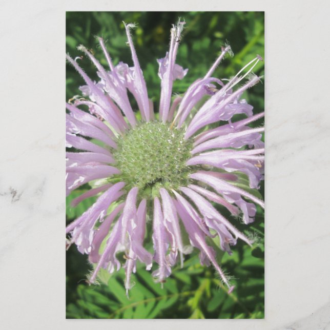 Papelería Palm morada de abejas (Anverso)