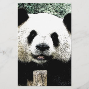 Papelería Panda