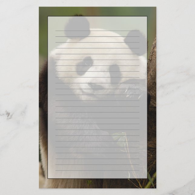 Papelería Panda gigante Ailuropoda melanoleuca) Familia (Anverso)