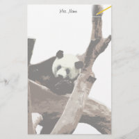 Panda gigante en una fotografía de zoológico salva