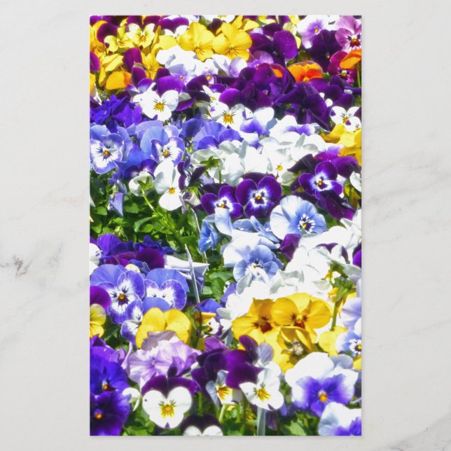 Papelería Pansies (Anverso)