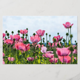 Papelería Papas rosadas